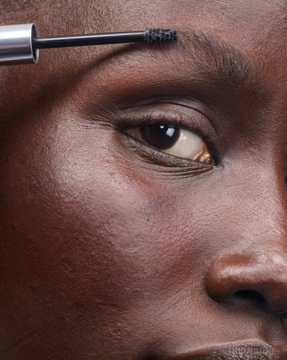 The Brow Kit